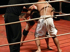 P1160336 P1160336