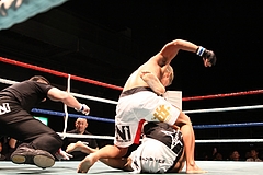 IMG_8833 IMG_8833