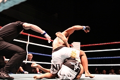 IMG_8831 IMG_8831