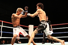 IMG_8818 IMG_8818