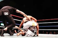 IMG_8830 IMG_8830