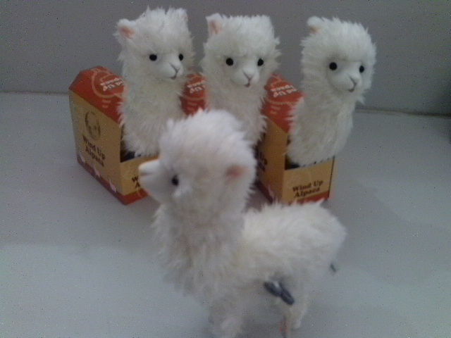 PICT0338