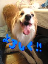 よろしく