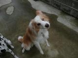 青輝 キャッチ3