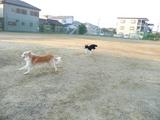 公園5
