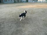 公園2