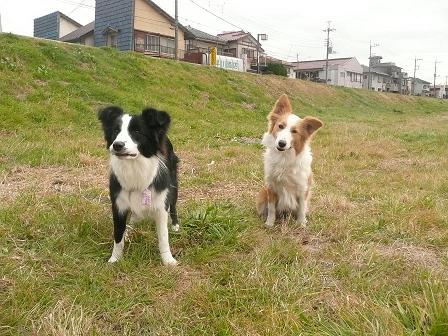 ショーティ&クッキー