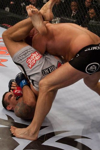 FEDOR vs WERDUM KO