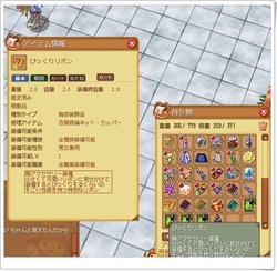 ss20151216リボン強化前