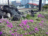 471732b9.jpg