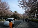 岩本山3