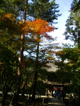sanmon