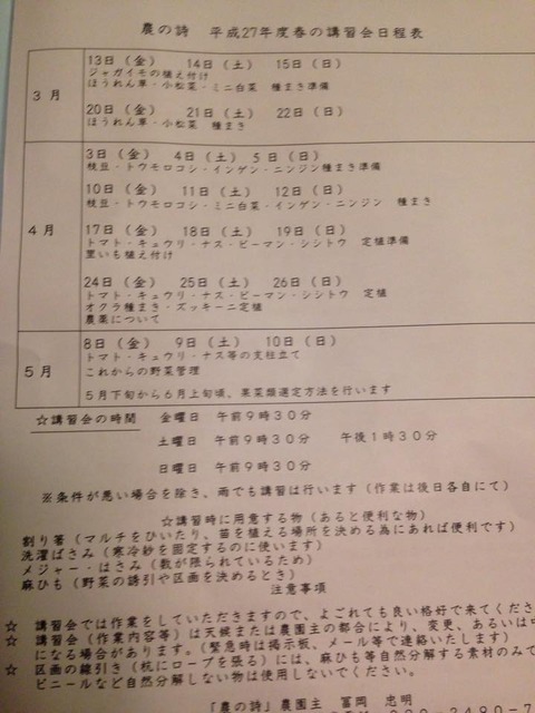 スケジュール
