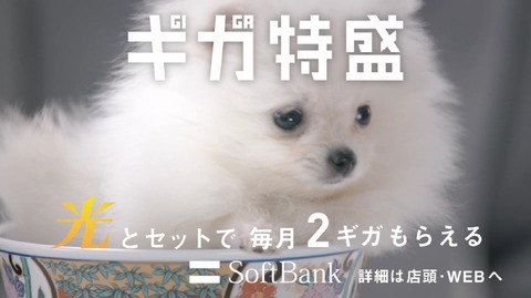 【乃木坂46】生駒里奈 ソフトバンクCM『白戸家「どんぶり」篇』が公開!
