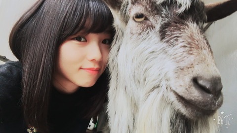 【乃木坂46】与田祐希ブログを更新「時間がない方は”ループ”してください」&愛ヤギ『ぶんぞう』との2ショットを公開!