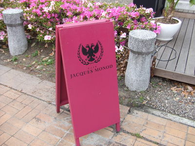 DSCF2754