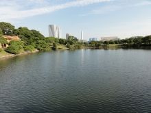 堕落系