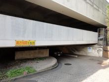 堕落系