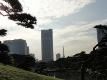 堕落系