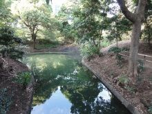 堕落系