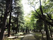 堕落系