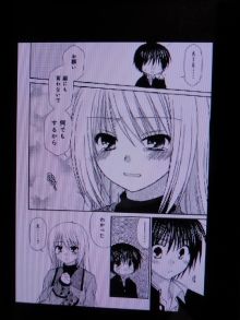堕落系