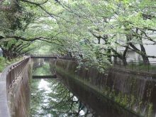 堕落系