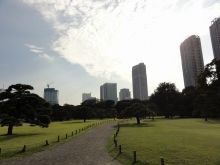 堕落系