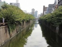 堕落系