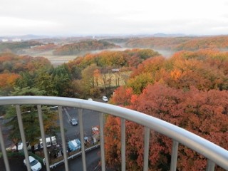 IMG_3475 (320x240)