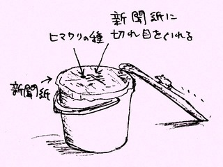ねずみとり