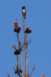 IMG_0607 (213x320)