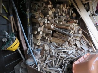 IMG_3675 (320x240)