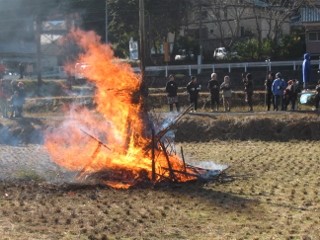 IMG_0417 (320x240)