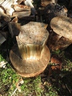IMG_2827 (240x320)