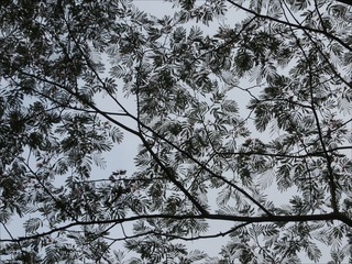 s-IMG_8511