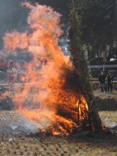 IMG_0408 (240x320)