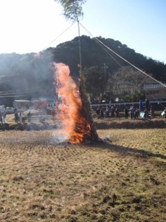 IMG_0407 (240x320)