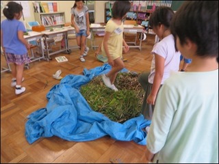s-IMG_0849
