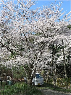 s-IMG_7261