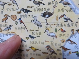 IMG_3545 (320x240)