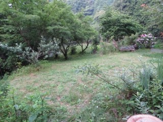 IMG_5697 (320x240)