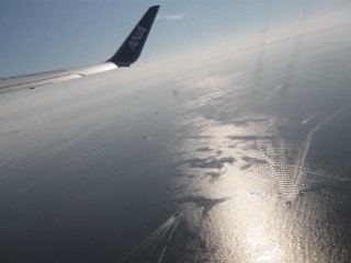 IMG_0521 (320x240)