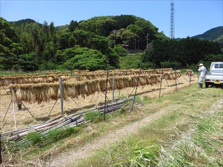 s-IMG_8046