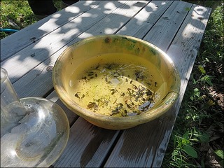 s-IMG_7609