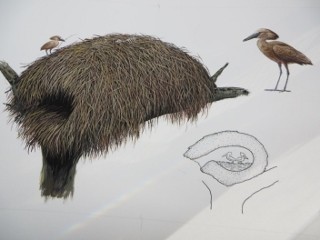 IMG_3686 (320x240)