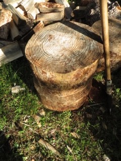 IMG_2813 (240x320)