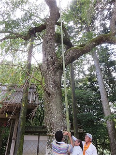 s-IMG_9232