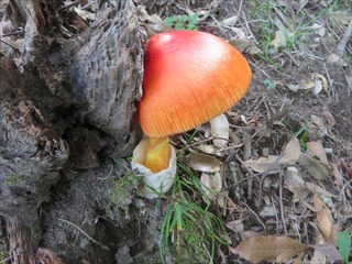 s-IMG_8523