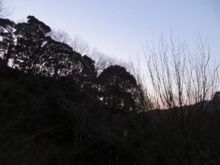 IMG_3671 (320x240)